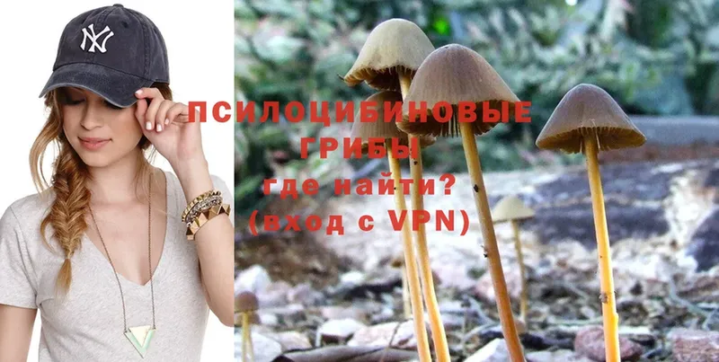 Галлюциногенные грибы Magic Shrooms  Губаха 